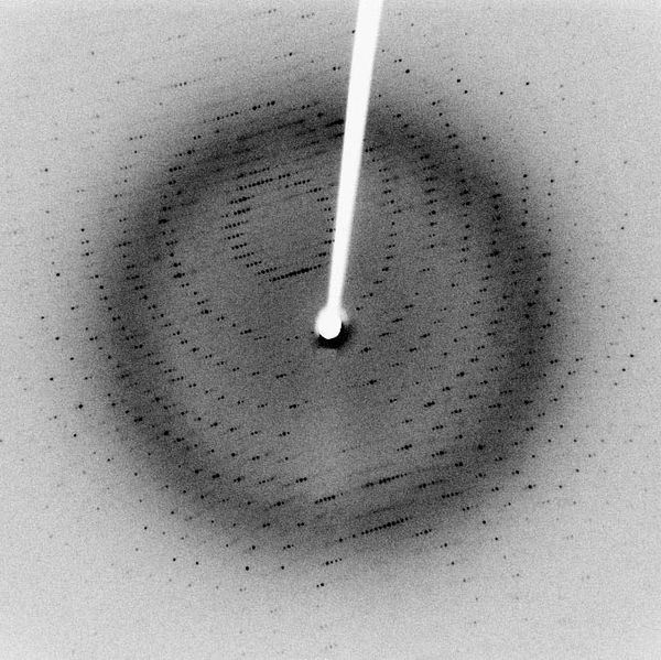 【SARS病毒酶的X射线衍射照片，作者：Jeff Dahl】